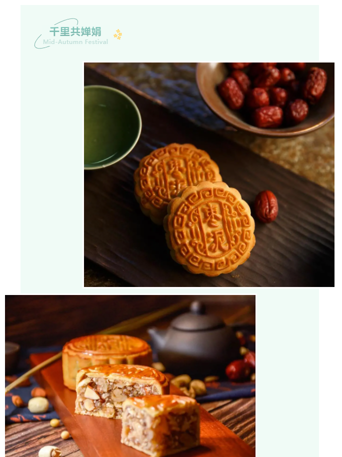 龙八long8玩家医纺